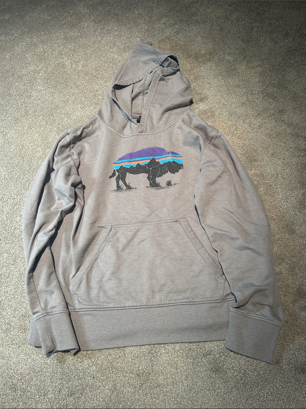 Patagonia Gray Kids Hoodie with Colorful Rhino Graphic